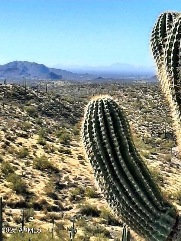 4 North Hardt Tank Road, Unit 4K Gold Canyon, AZ 85118 - Photo 8 of 27 image000008