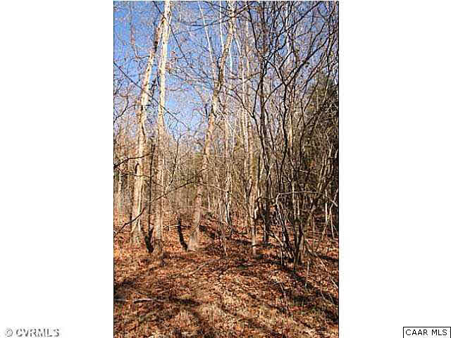 150 Sawmill Road Columbia, VA 23038 - Photo 11 of 19 The property is made up of mixed woods with pines, cedars, and hardwoods.