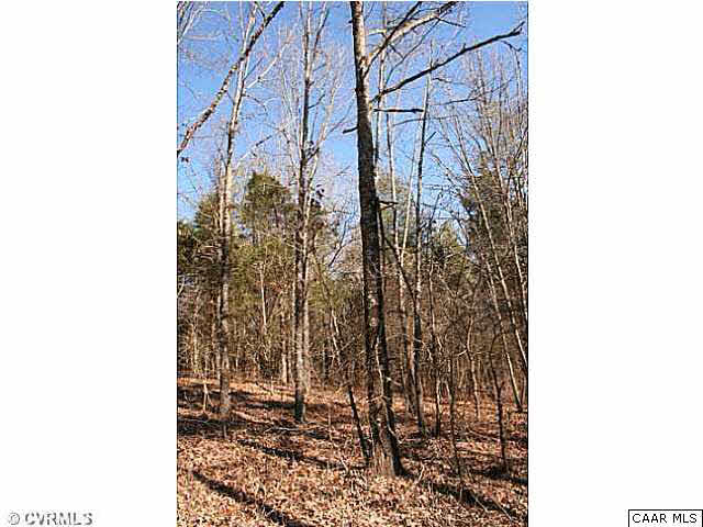150 Sawmill Road Columbia, VA 23038 - Photo 12 of 19 This red oak would make a nice spot for a tree stand.