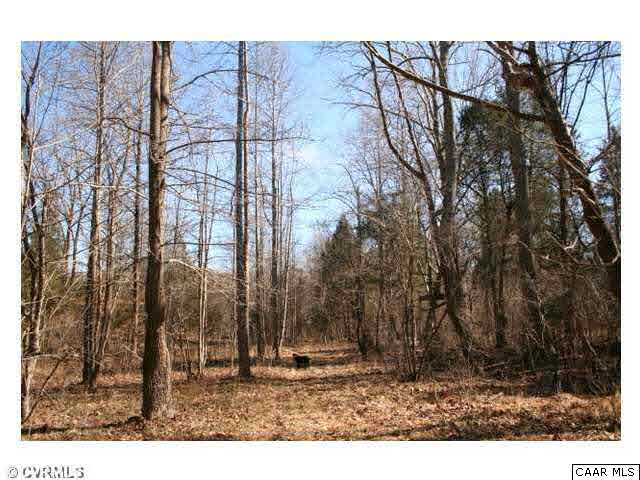 150 Sawmill Road Columbia, VA 23038 - Photo 13 of 19 Another view of the trail leading around the property.