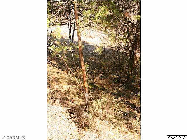 150 Sawmill Road Columbia, VA 23038 - Photo 15 of 19 More deer sign!