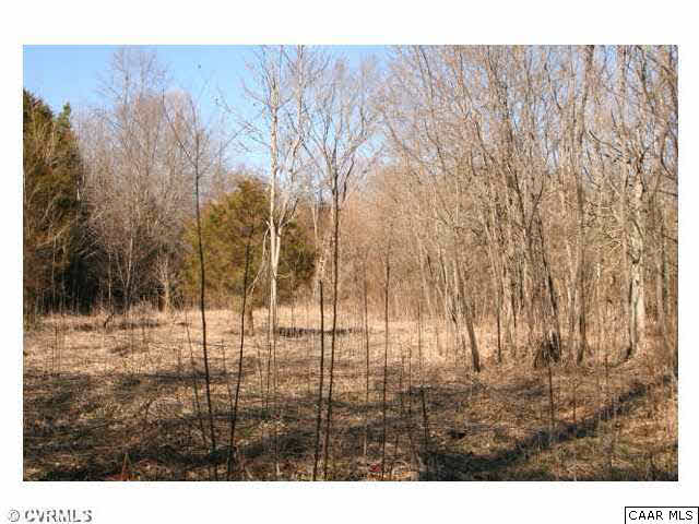 150 Sawmill Road Columbia, VA 23038 - Photo 16 of 19 This is a larger clearing where the road turns and the 2 creeks join. It would make a great spot for hunting.