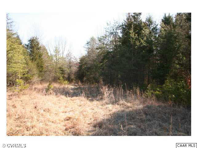 150 Sawmill Road Columbia, VA 23038 - Photo 17 of 19 The clearing would also make a great spot for a food plot
