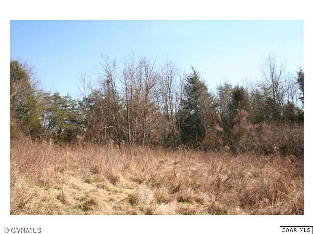 The property has several open areas throughout the property.