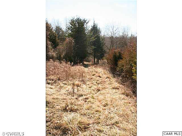 There is a path that starts here along the neighbors fence line that meanders through the land.