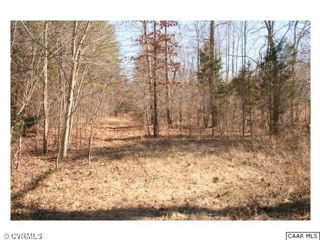 View of the trail along the creek on the South side of the land.