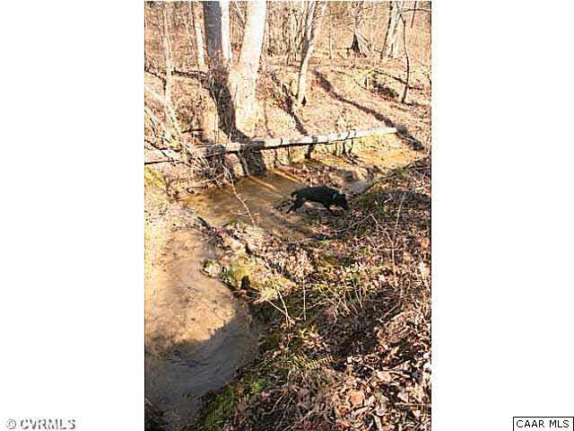 Another view of the bold stream...my dog Penny had a good time that day!