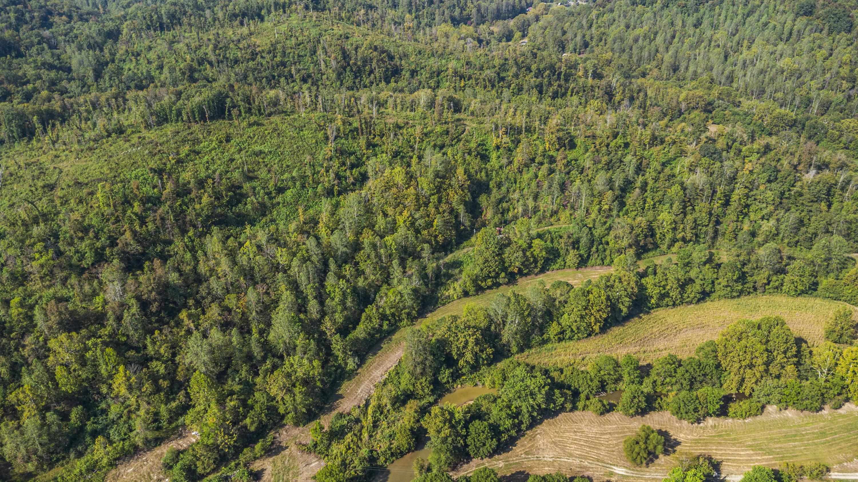 0 Tate Hollow Road Louisa, KY 41230 - Photo 41 of 50