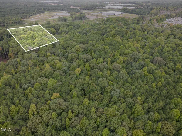a view of a bunch of trees in a field