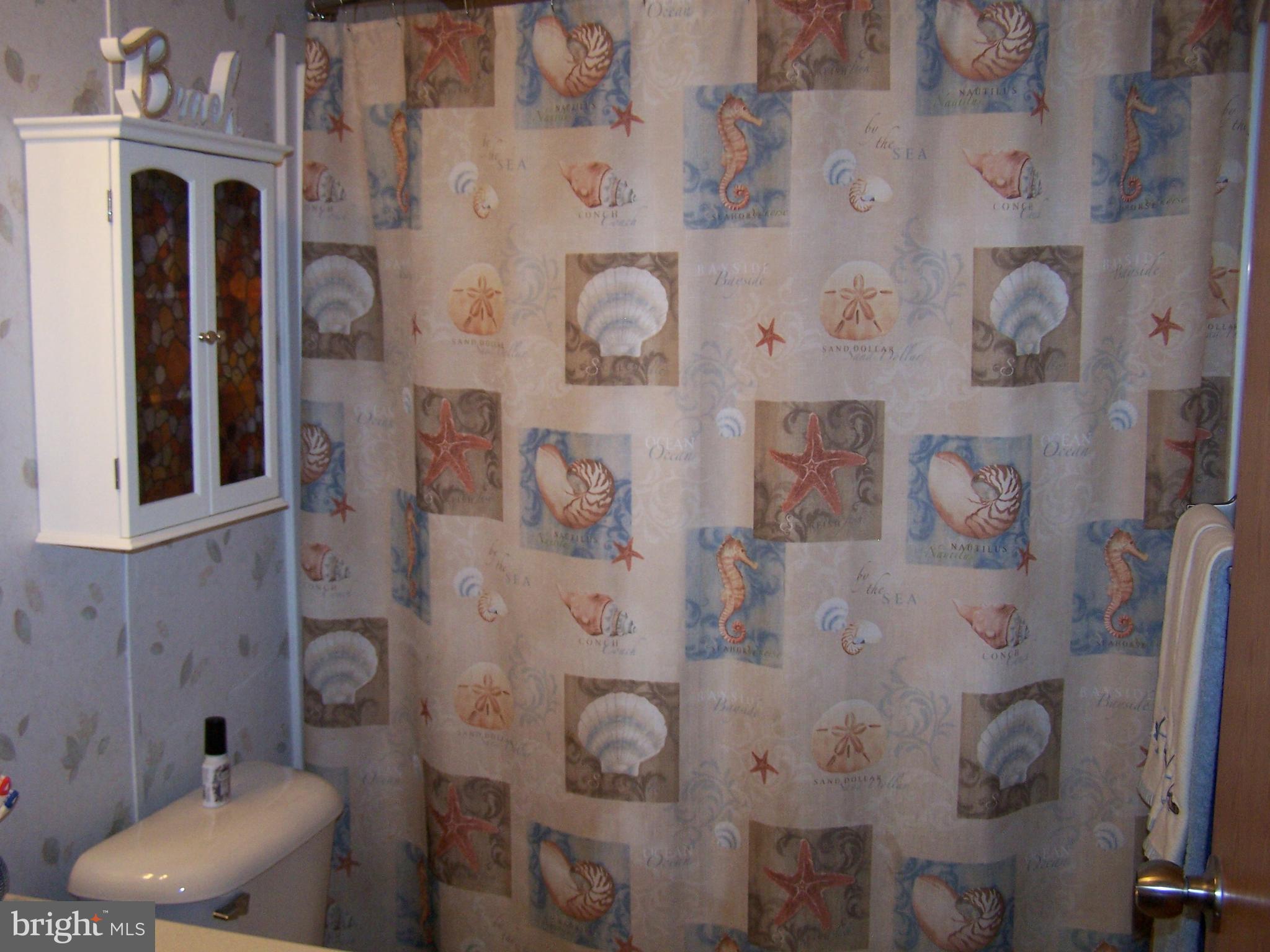 120 Clamshell Road Ocean City, MD 21842 - Photo 33 of 47 Hall Bath
