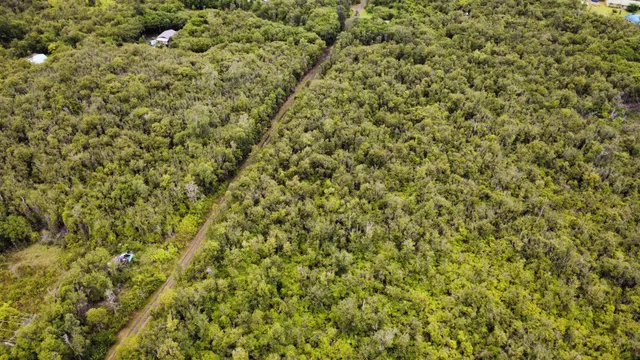 a view of a lush green yard