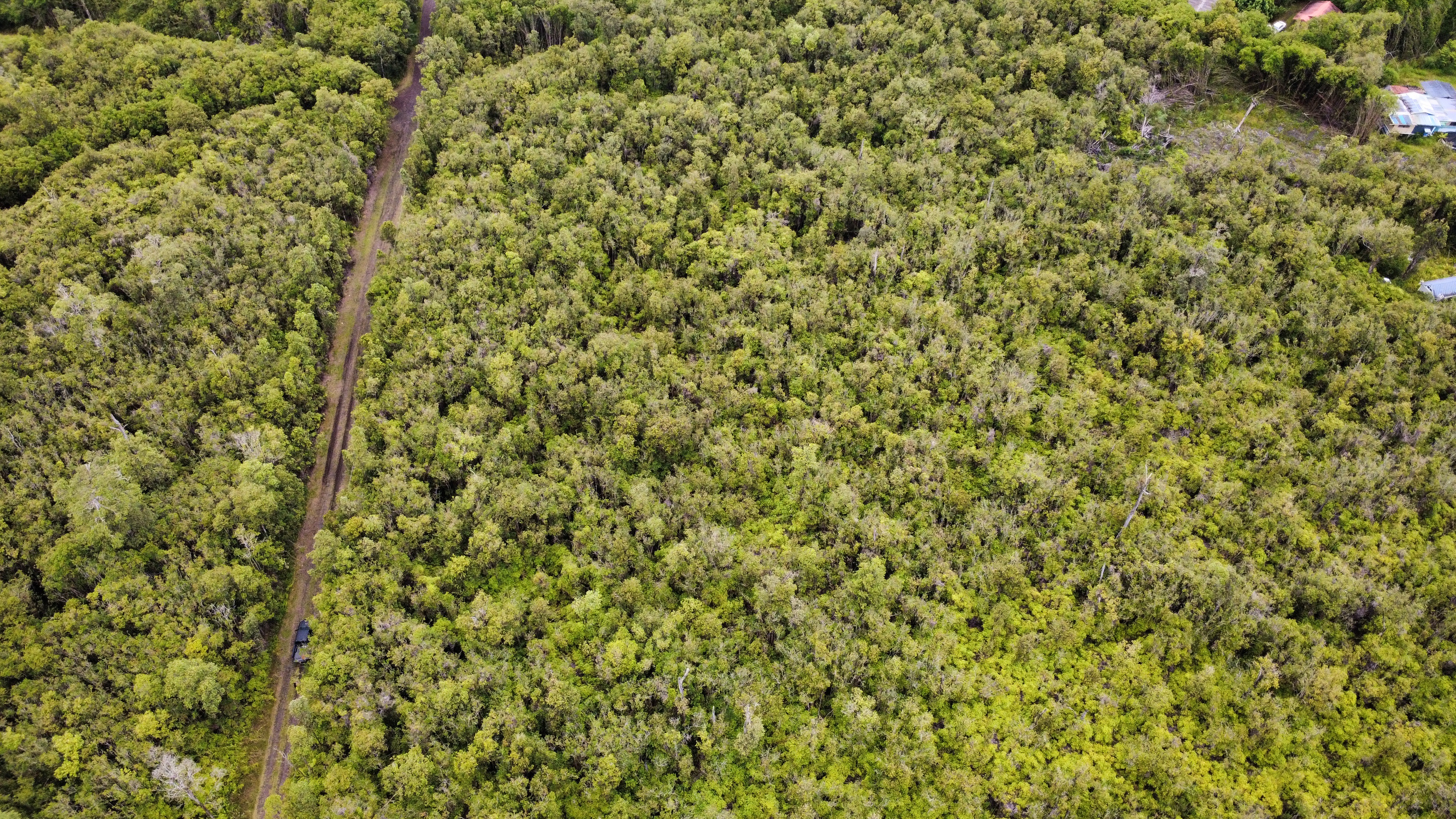 27 Amakihi Street Mountain View, HI 96771 - Photo 8 of 10 a view of a yard