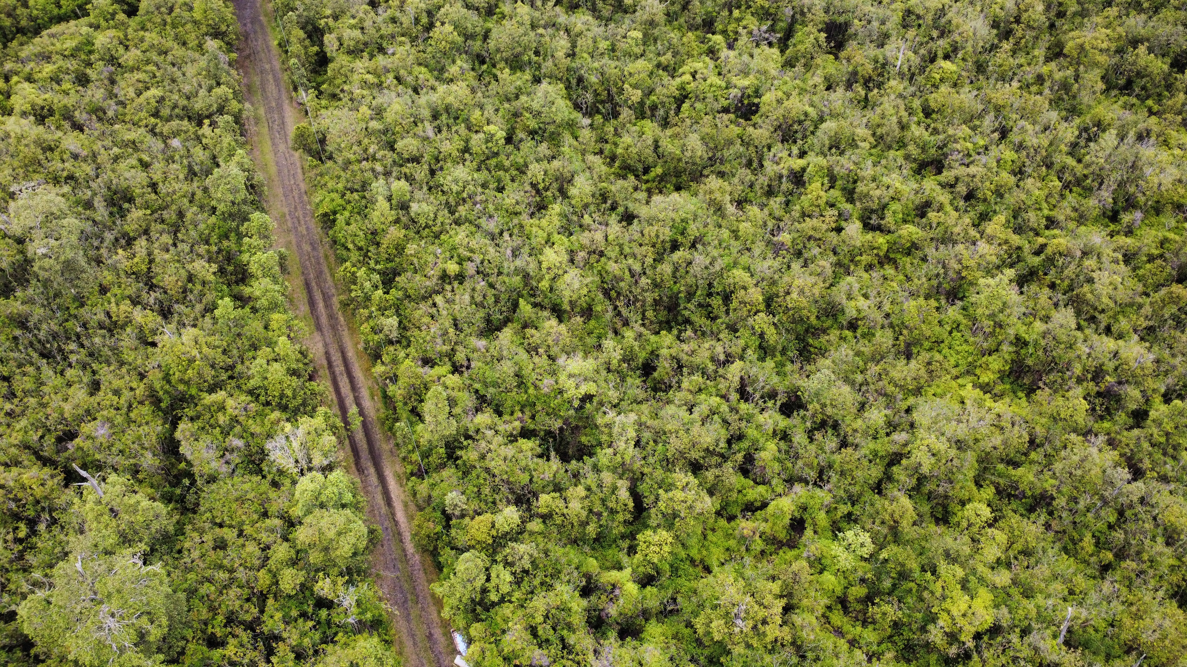 27 Amakihi Street Mountain View, HI 96771 - Photo 9 of 10 a view of a lush green yard