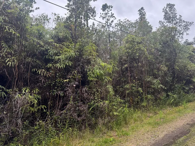 $35,000 | 27 Amakihi Street, Mountain View, HI 96771