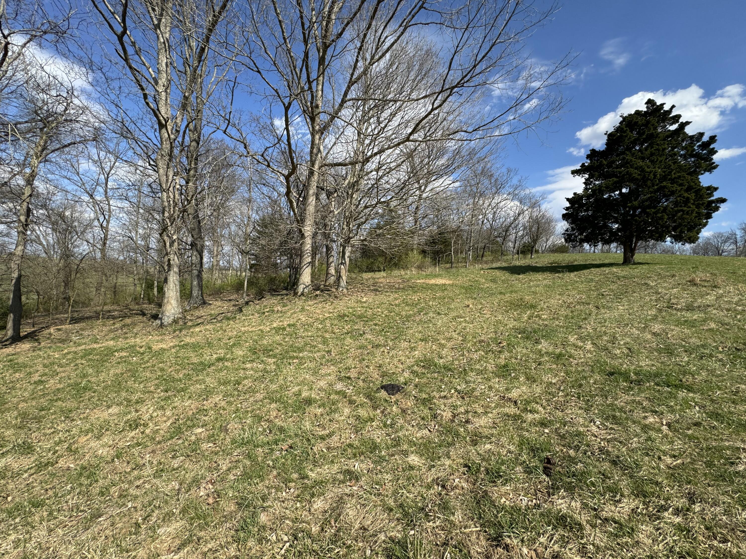 0 Butler Branch Road Flemingsburg, KY 41041 - Photo 15 of 26 IMG_1211