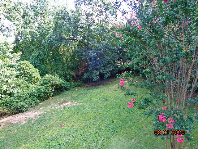 80 Dowlen Road Hixson, TN 37343 - Photo 6 of 41 DSC01729