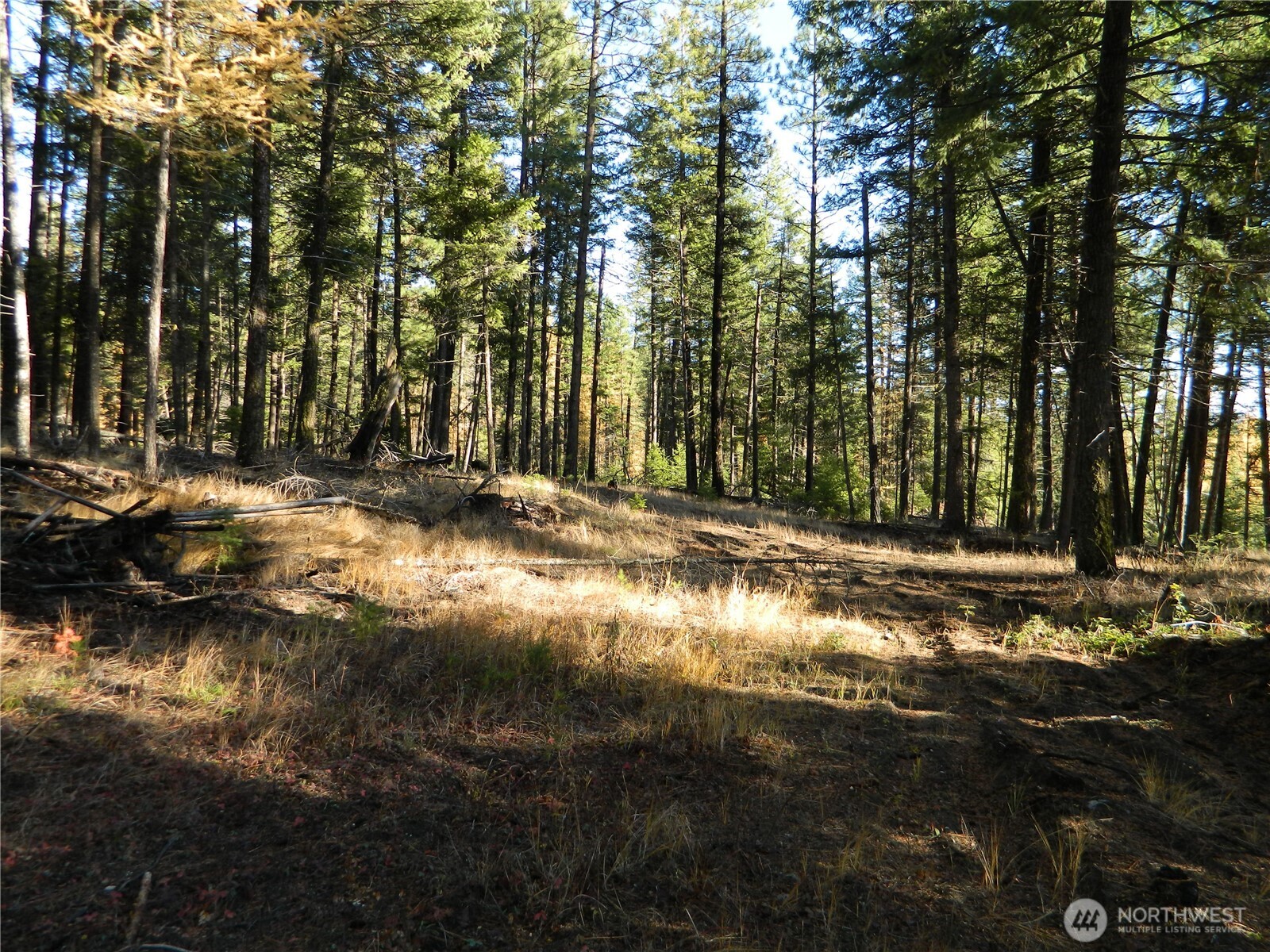 0 Summit Lake Road Tonasket, WA 98855 - Photo 11 of 16 Gallery Image 11