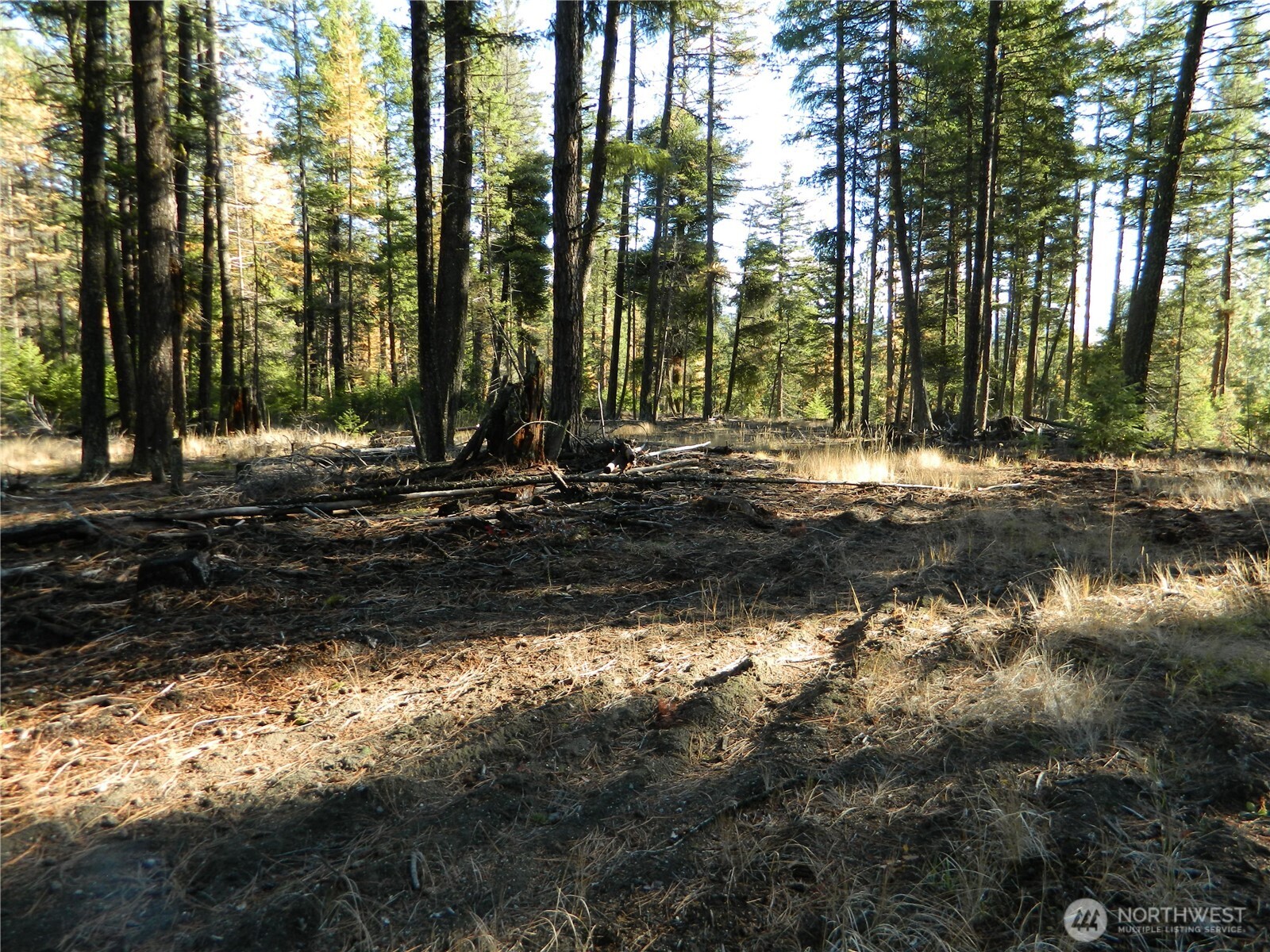 0 Summit Lake Road Tonasket, WA 98855 - Photo 12 of 16 Gallery Image 12