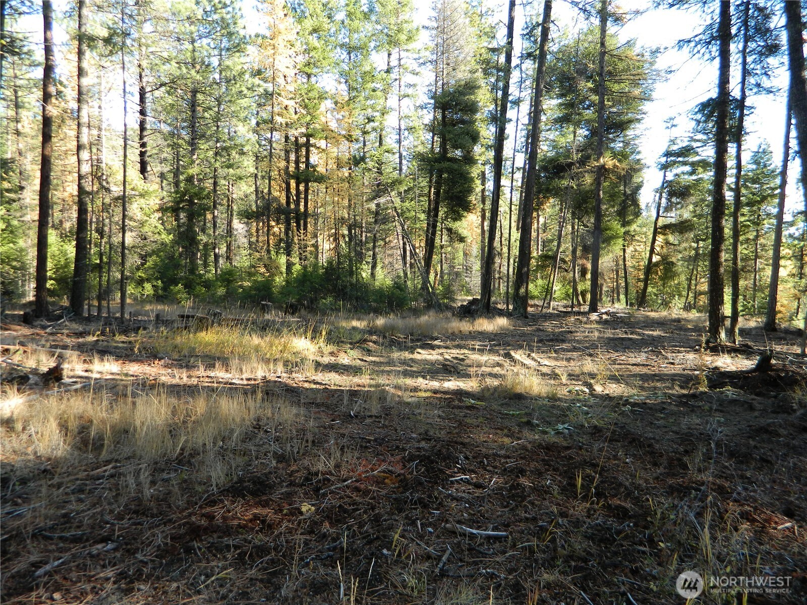 0 Summit Lake Road Tonasket, WA 98855 - Photo 13 of 16 Gallery Image 13