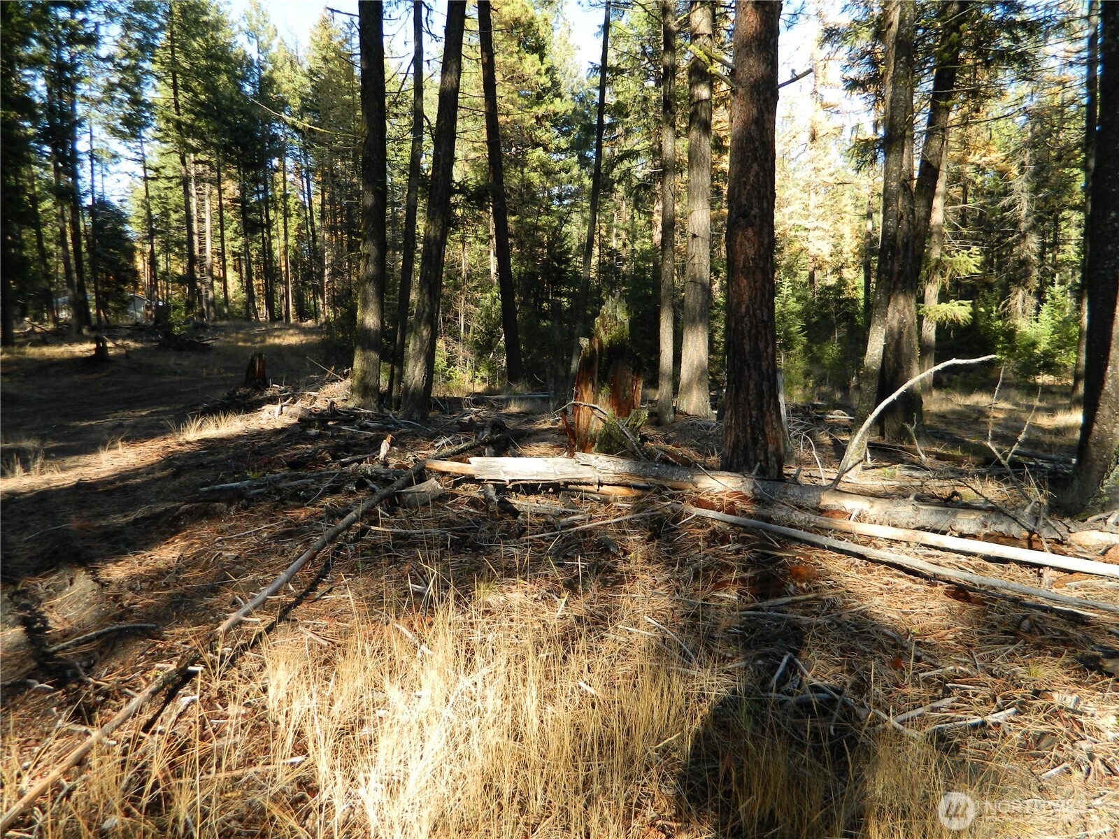 0 Summit Lake Road Tonasket, WA 98855 - Photo 14 of 16 Gallery Image 14
