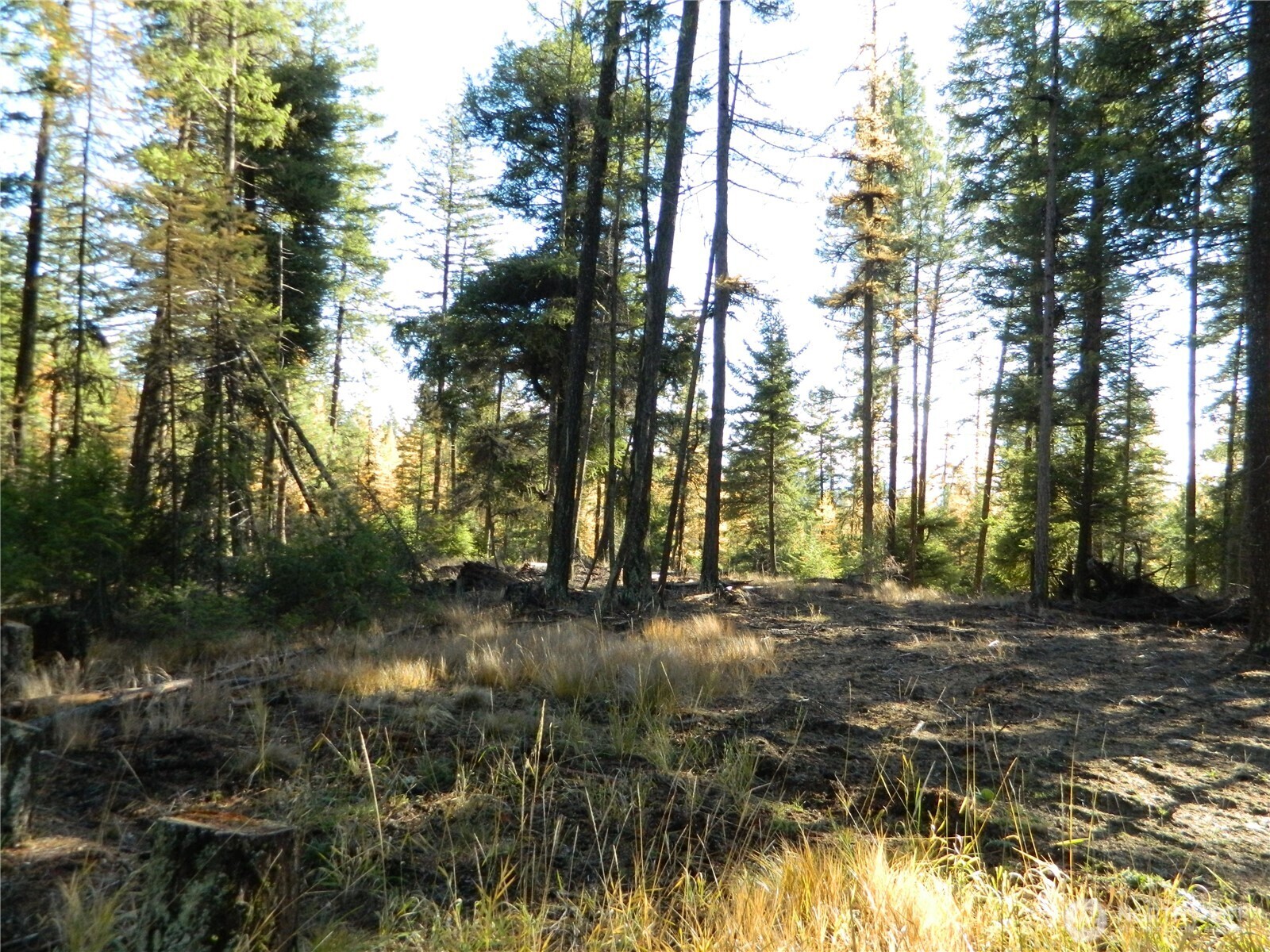 0 Summit Lake Road Tonasket, WA 98855 - Photo 15 of 16 Gallery Image 15