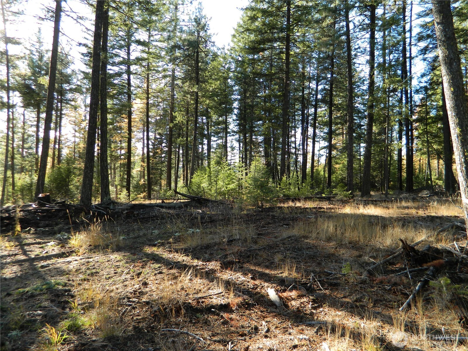 0 Summit Lake Road Tonasket, WA 98855 - Photo 16 of 16 Gallery Image 16