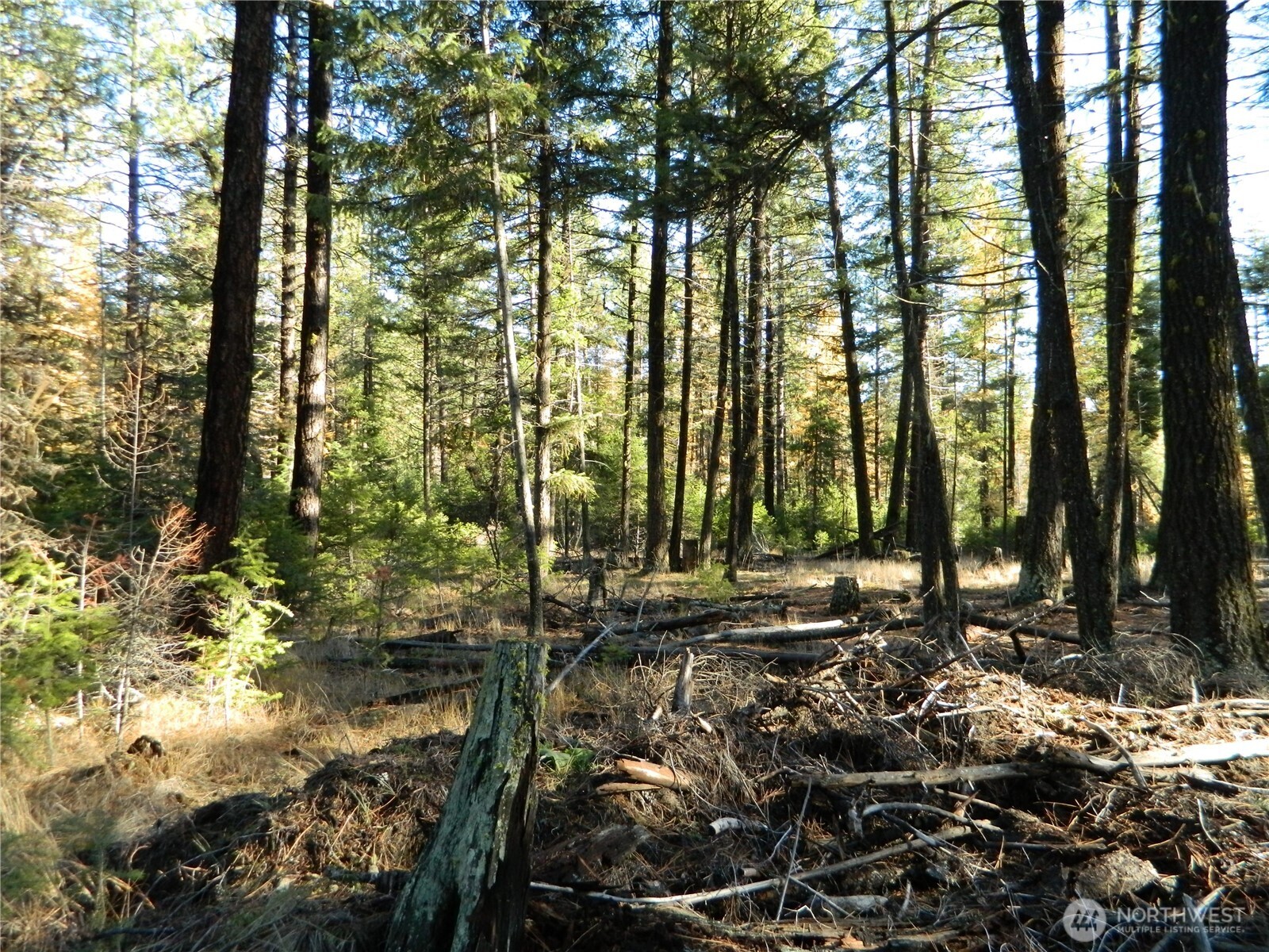 Gallery Image 6