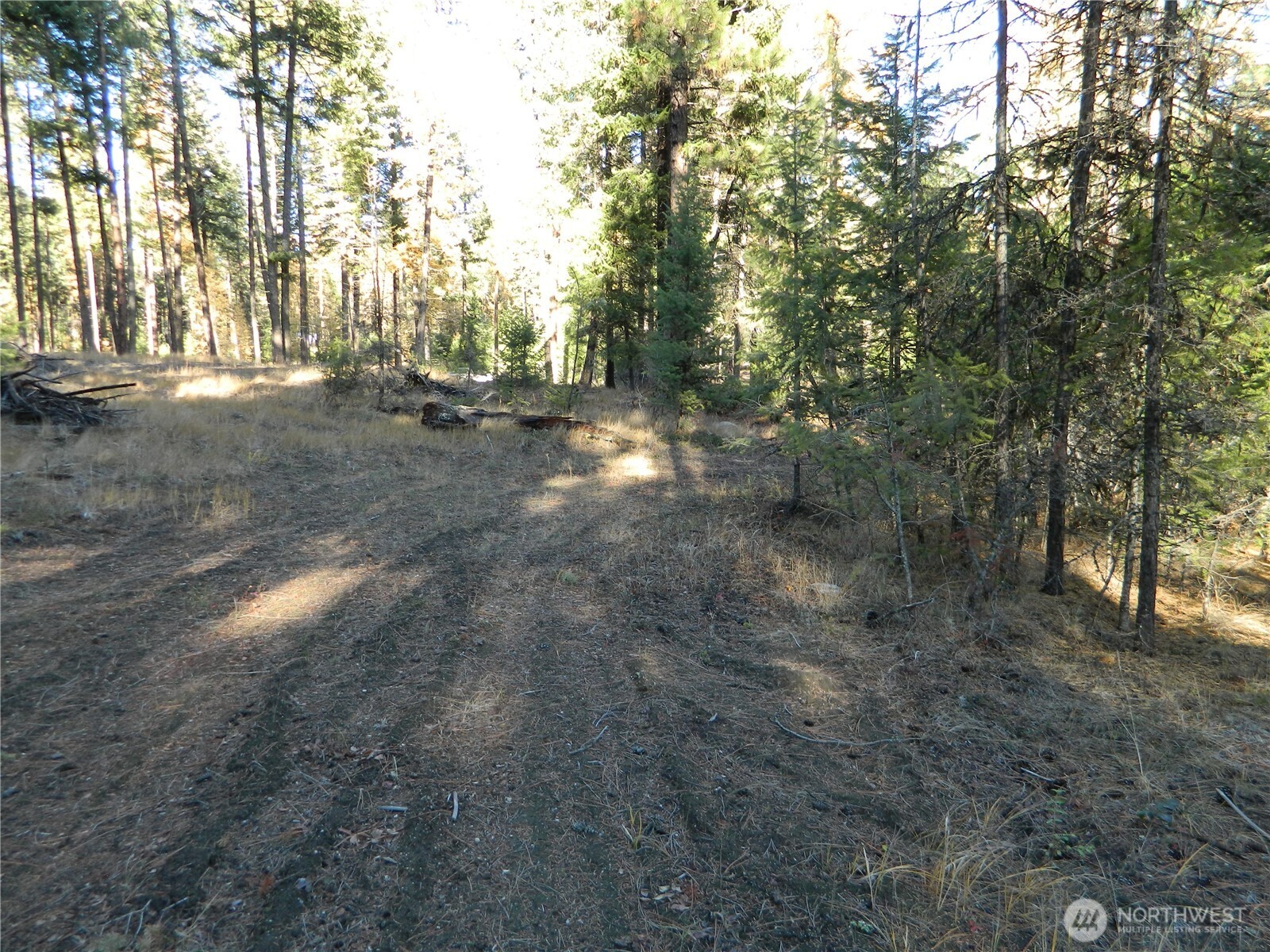 0 Summit Lake Road Tonasket, WA 98855 - Photo 8 of 16 Gallery Image 8