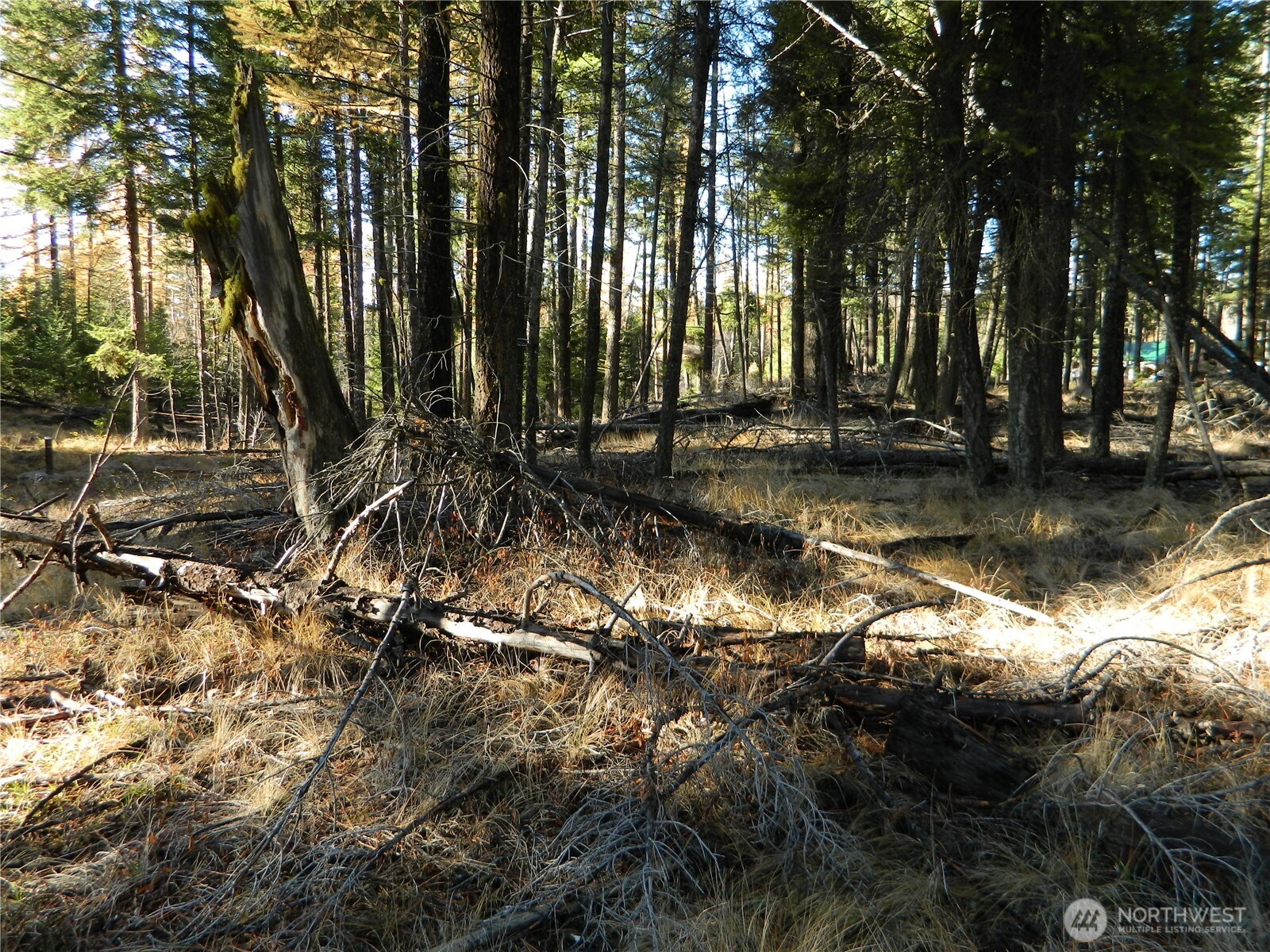 0 Summit Lake Road Tonasket, WA 98855 - Photo 9 of 16 Gallery Image 9