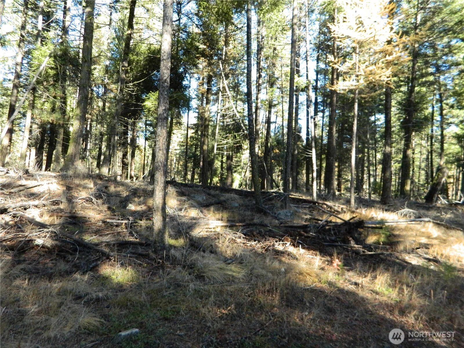 0 Summit Lake Road Tonasket, WA 98855 - Photo 10 of 16 Gallery Image 10