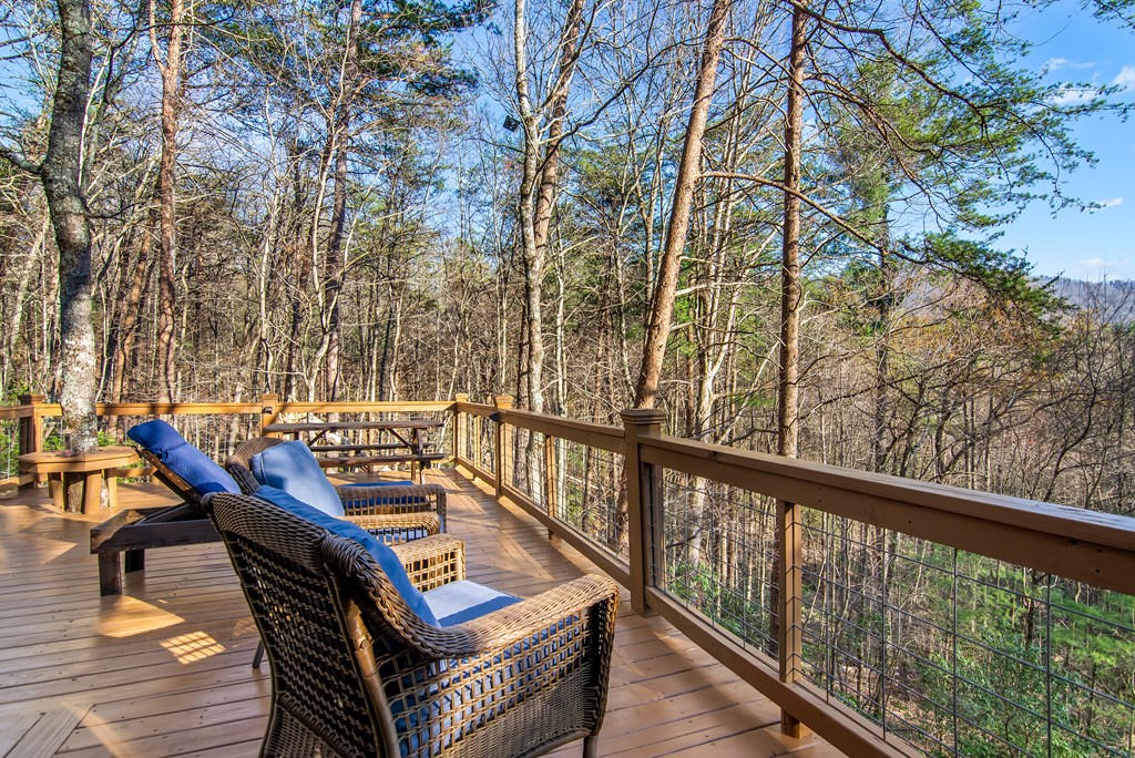 462 Laurel Mountain Road Blue Ridge, GA 30513 - Photo 4 of 52 Gallery Image 4