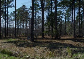 1 Moores Beach Road Chocowinity, NC 27817 - Photo 1 of 1 Primary Photo