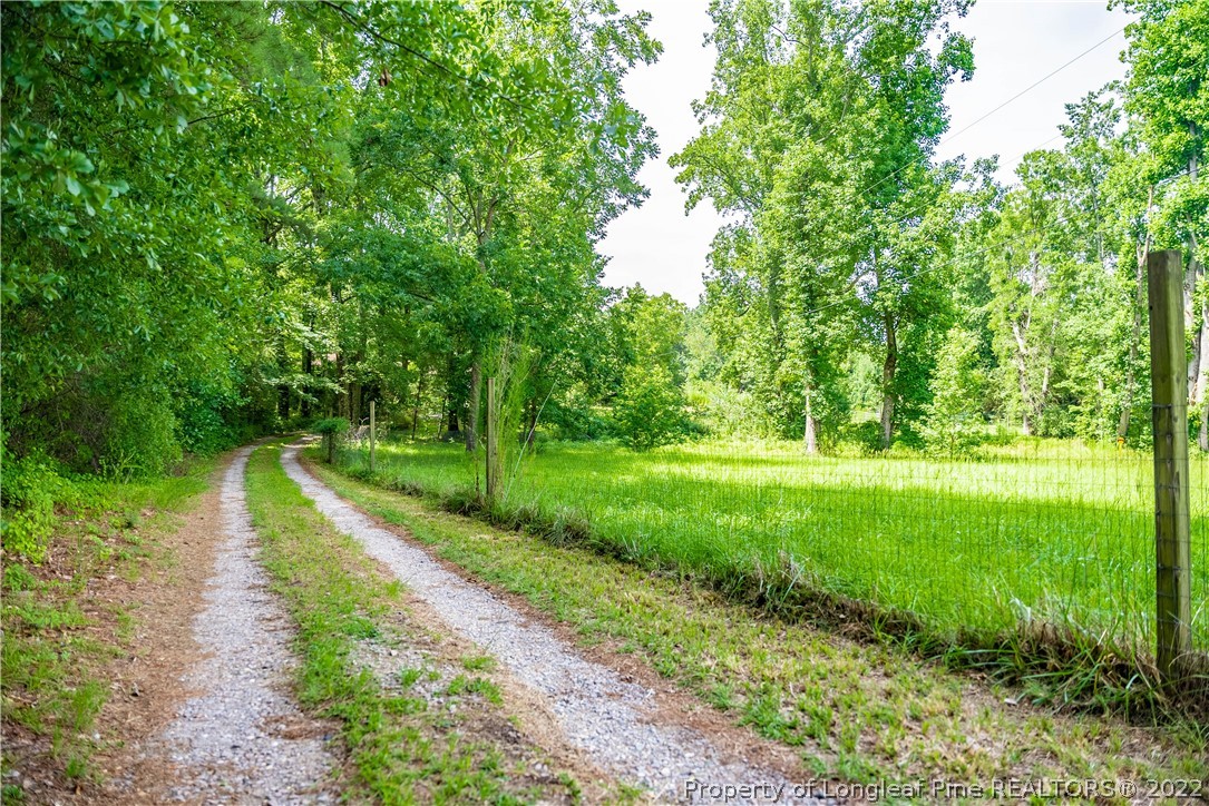 4064 Vass-Carthage Road Carthage, NC 28327 - Photo 43 of 50 a view of a garden with large trees