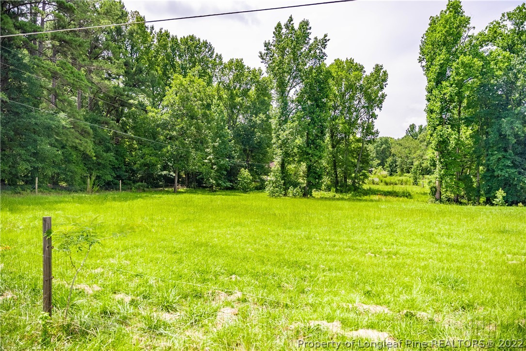 4064 Vass-Carthage Road Carthage, NC 28327 - Photo 45 of 50 a view of outdoor space with swimming pool