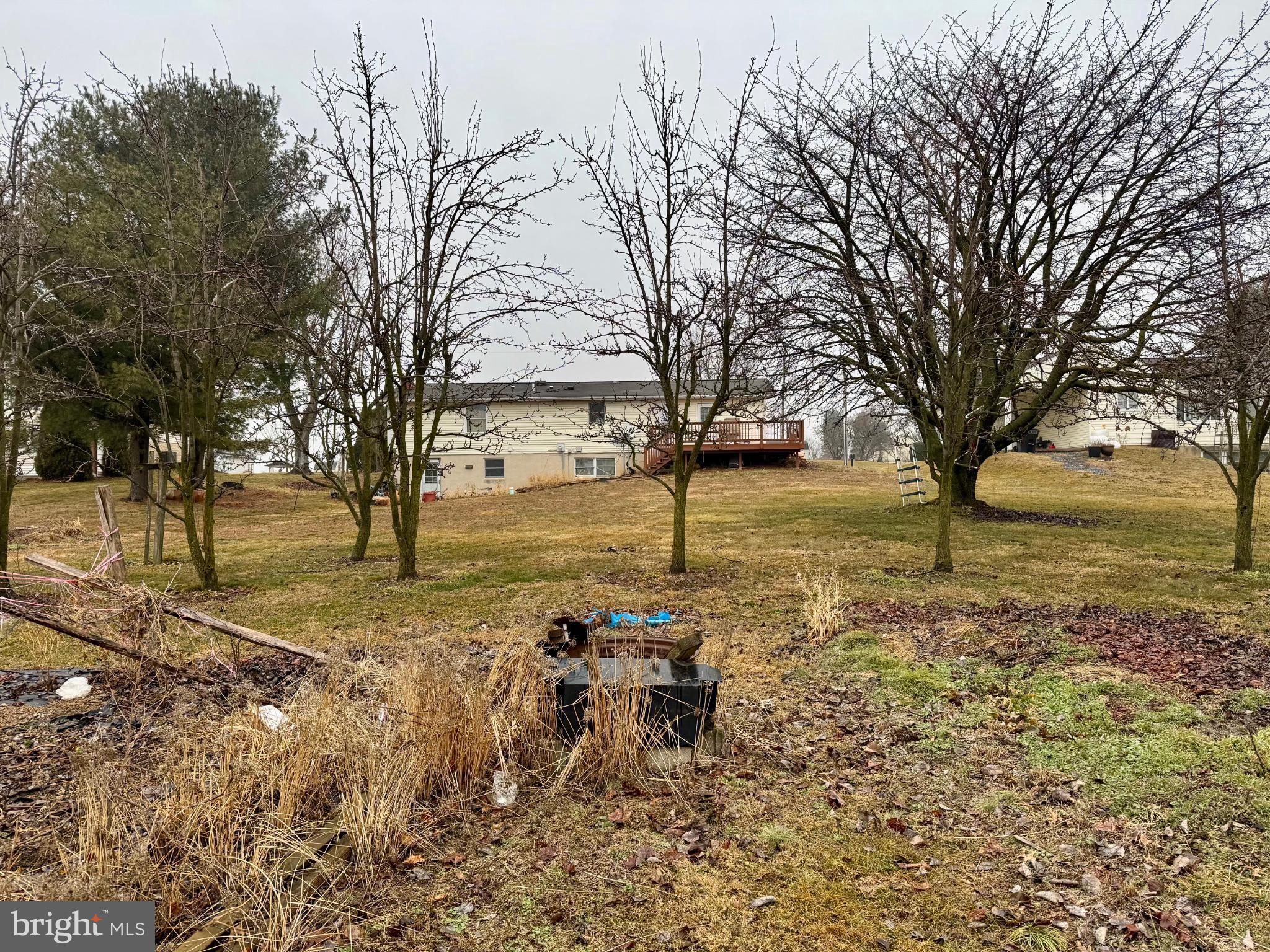430 Fairview Road Manheim, PA 17545 - Photo 25 of 32 a view of a yard with an trees