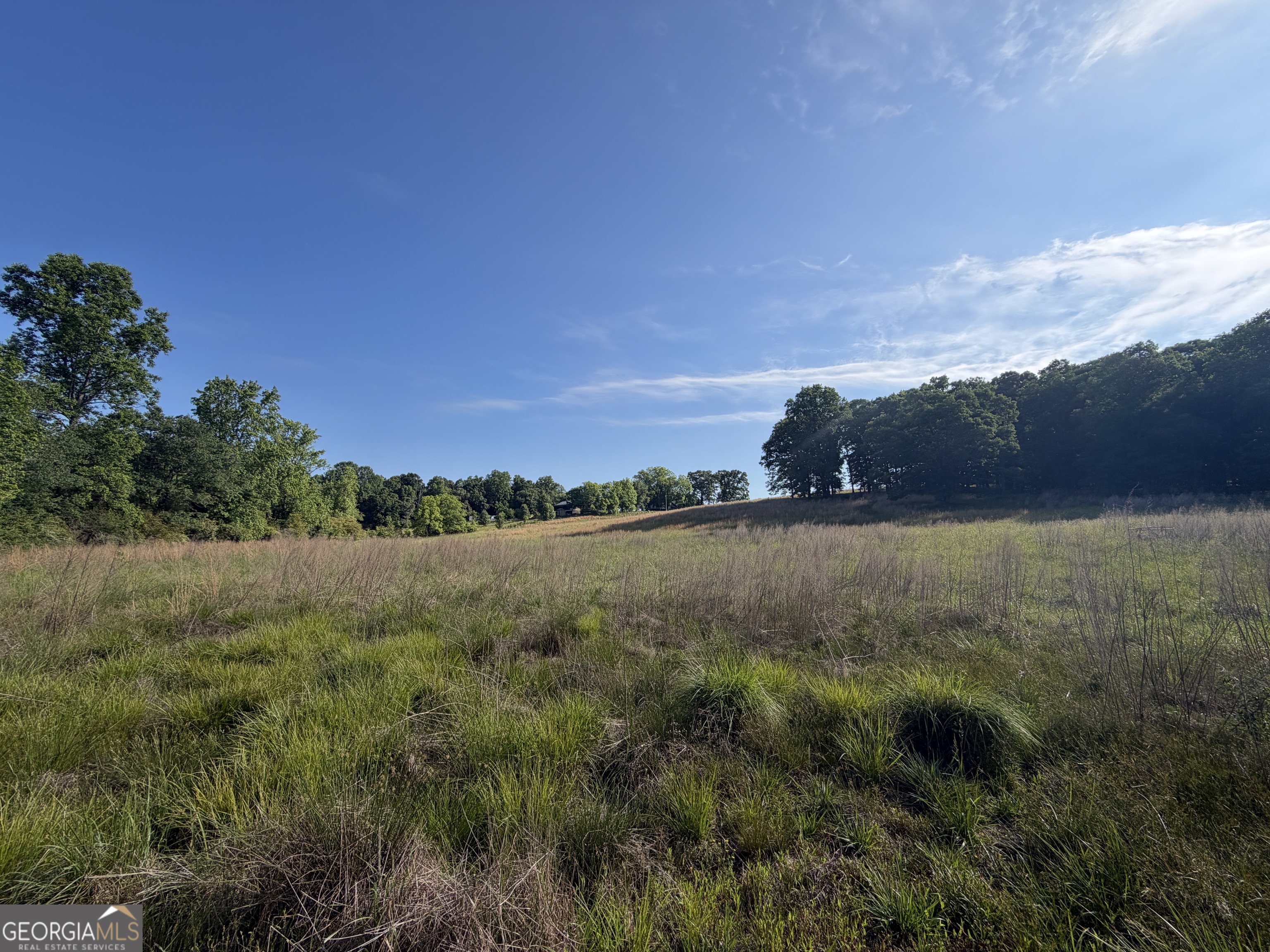 0 Jim Thomas Road Demorest, GA 30535 - Photo 19 of 33