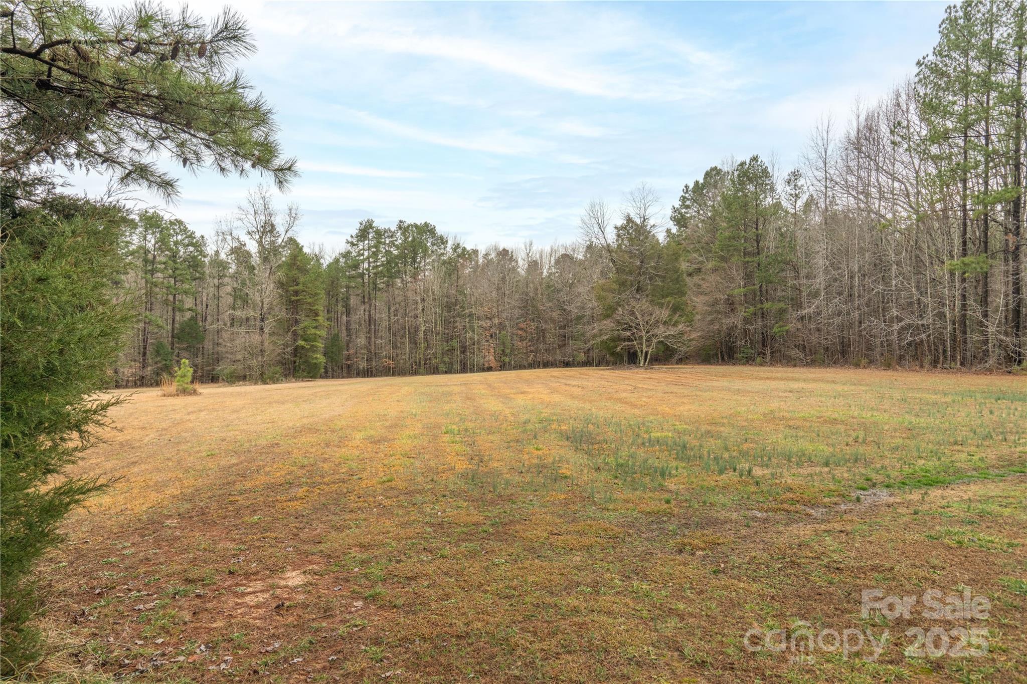 512 Tom Briggs Road Lexington, NC 27292 - Photo 34 of 34 Gallery Image 34