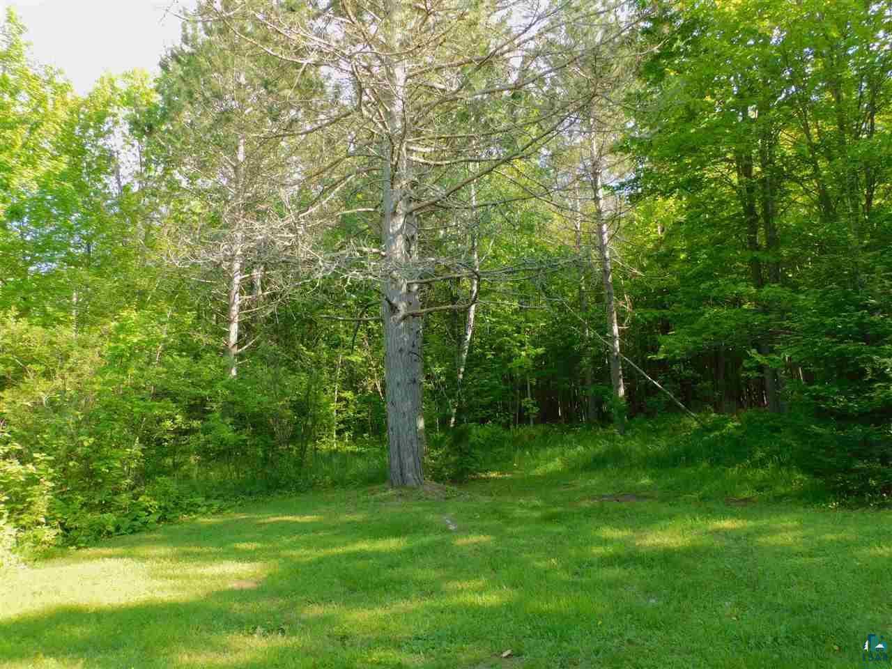 33085 Burlager Road Washburn, WI 54891 - Photo 11 of 31 Large backyard