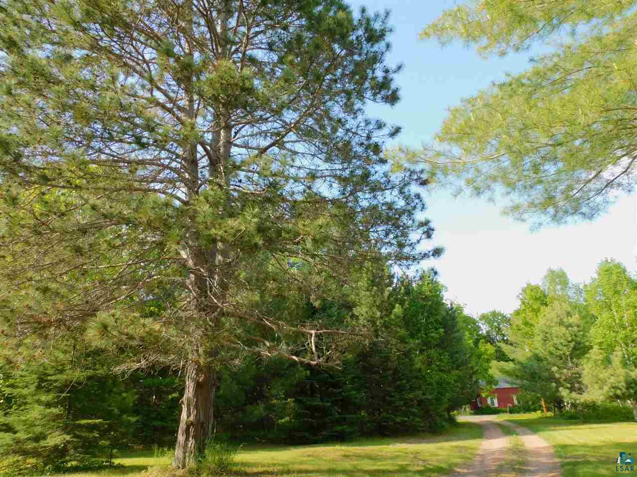 33085 Burlager Road Washburn, WI 54891 - Photo 9 of 31 Quite and private setting