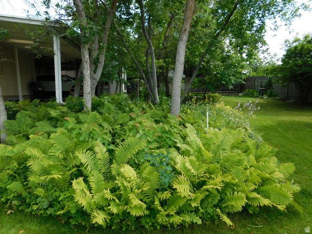 2148 Carolyn Way Bountiful, UT 84010 - Photo 33 of 40 Lush green foliage with mature trees and a manicured lawn