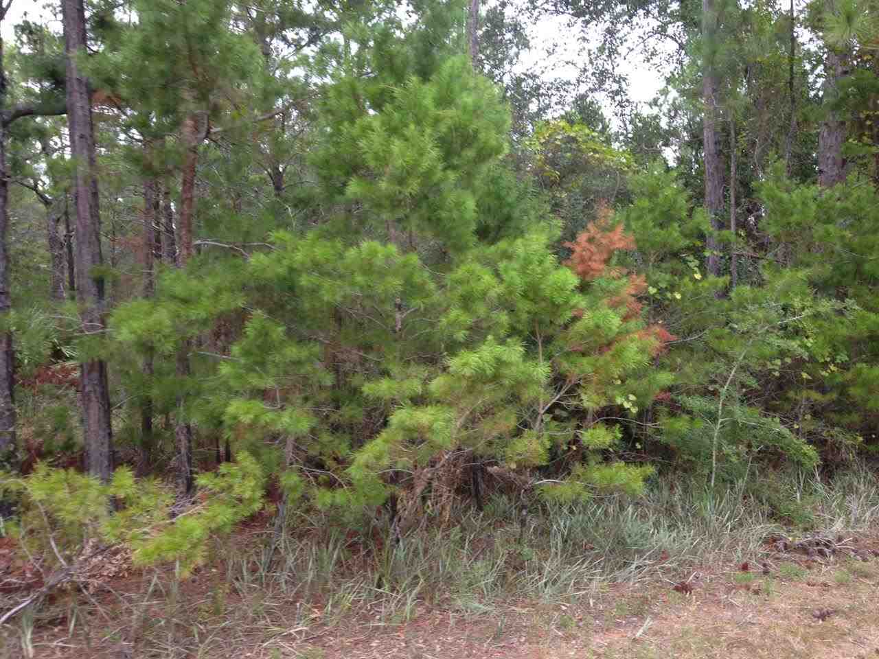 Lot 2 Quail Run Road Gulf Breeze, FL 32563 - Photo 8 of 10 Gallery Image 8