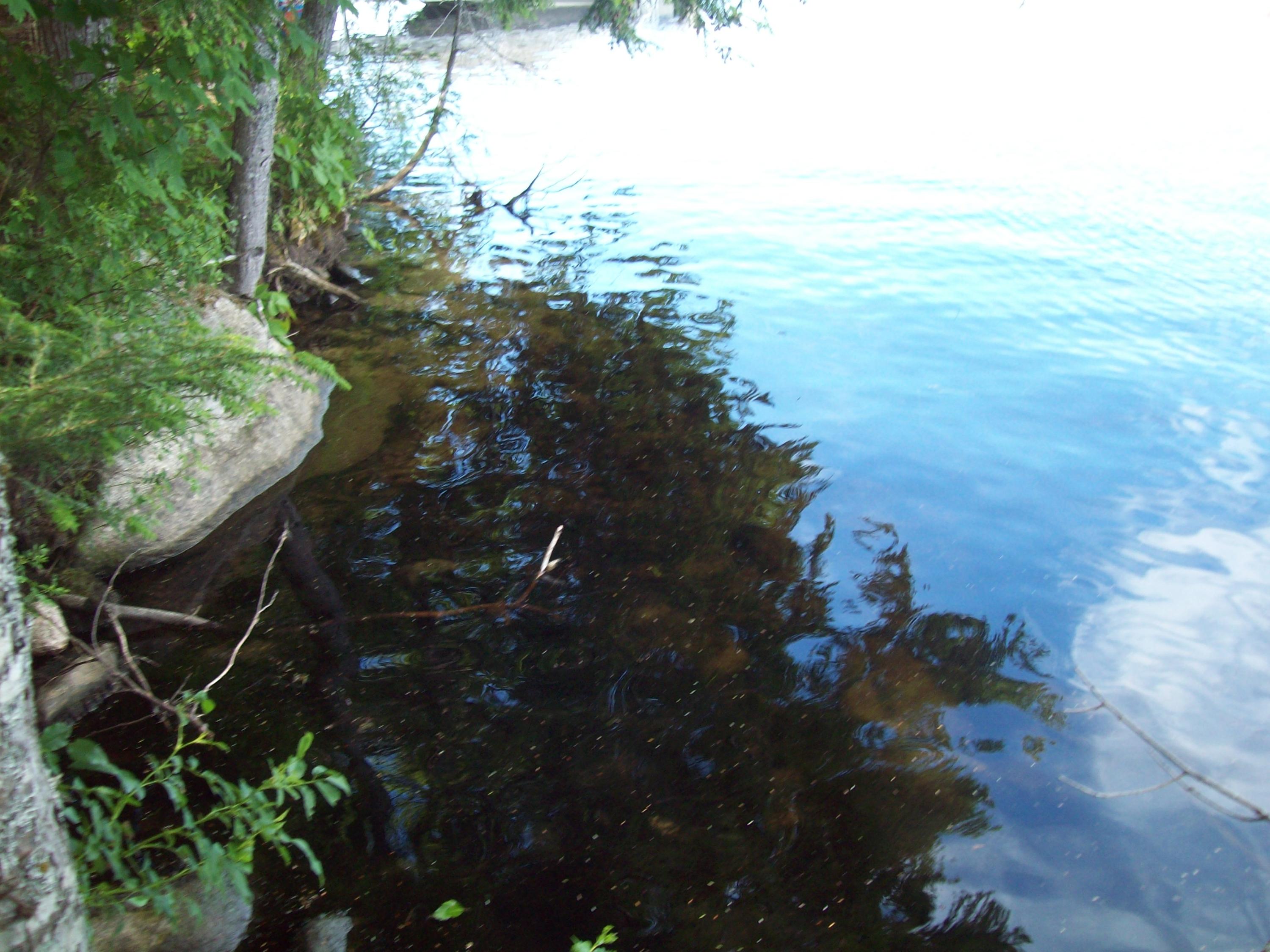 Tbd Egg Pond Road Lincoln, ME 04457 - Photo 6 of 10 100_0927