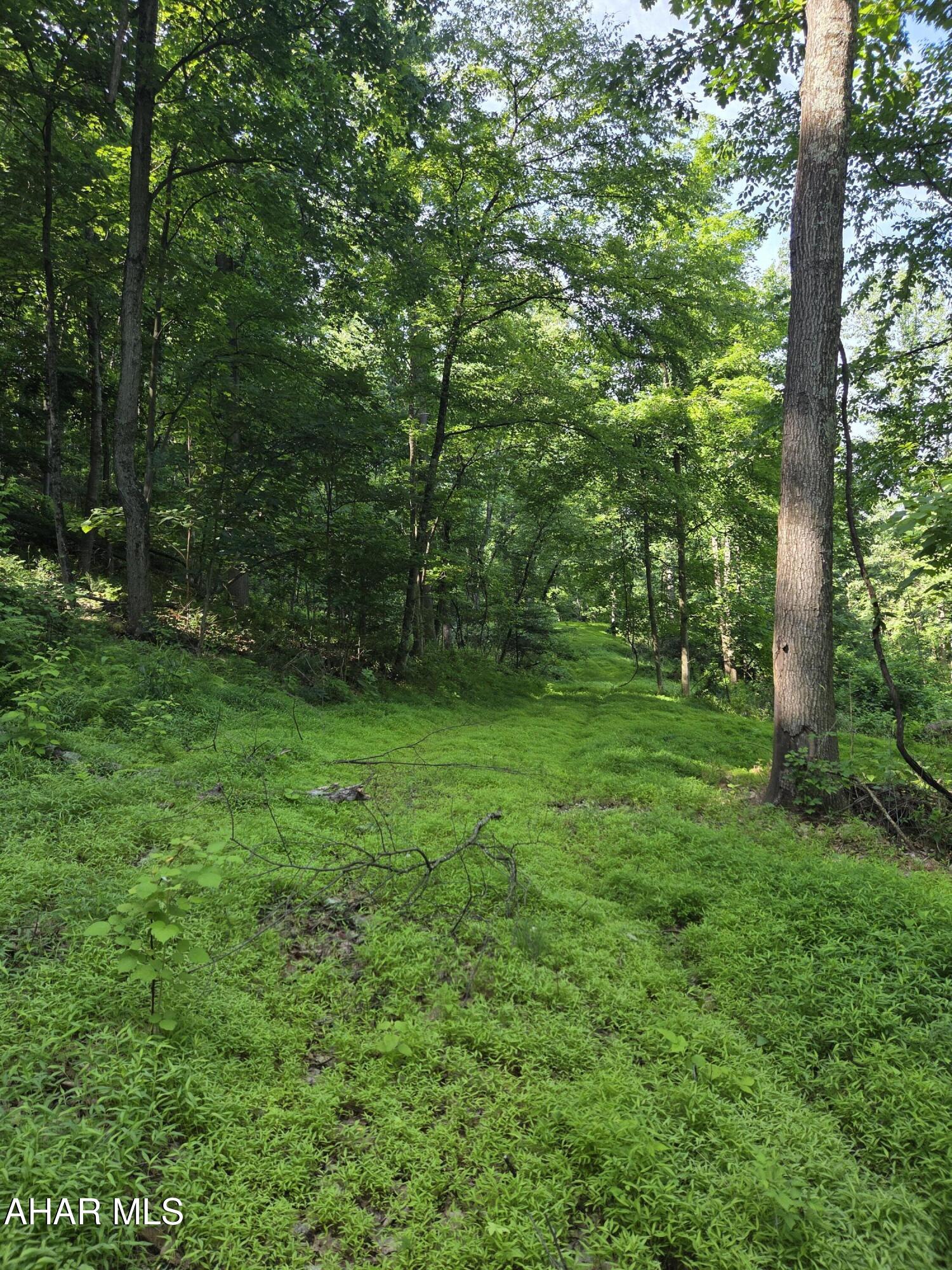 0 Sugar Ridge Road McVeytown, PA 17051 - Photo 9 of 19