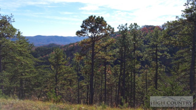 Lot 106 Nightshade Road Deep Gap, NC 28618 - Photo 5 of 13 Gallery Image 5