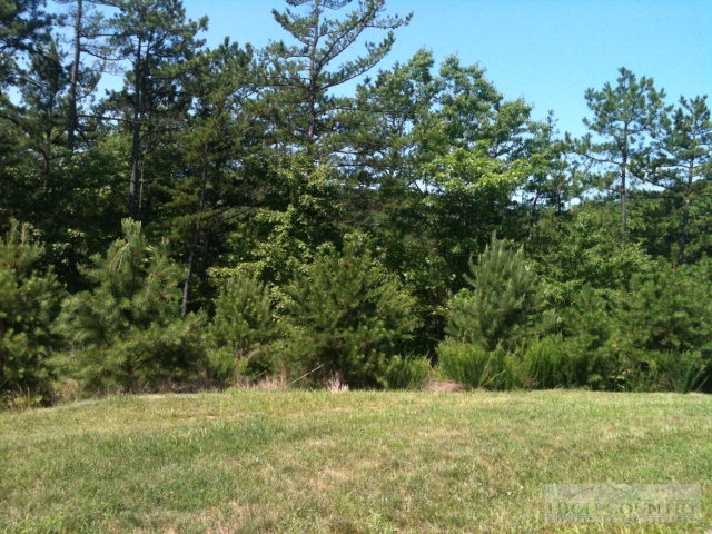 Lot 106 Nightshade Road Deep Gap, NC 28618 - Photo 8 of 13 Gallery Image 8