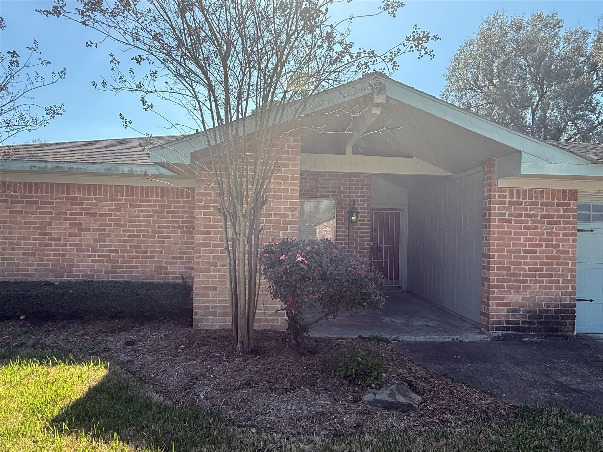 a view of a backyard