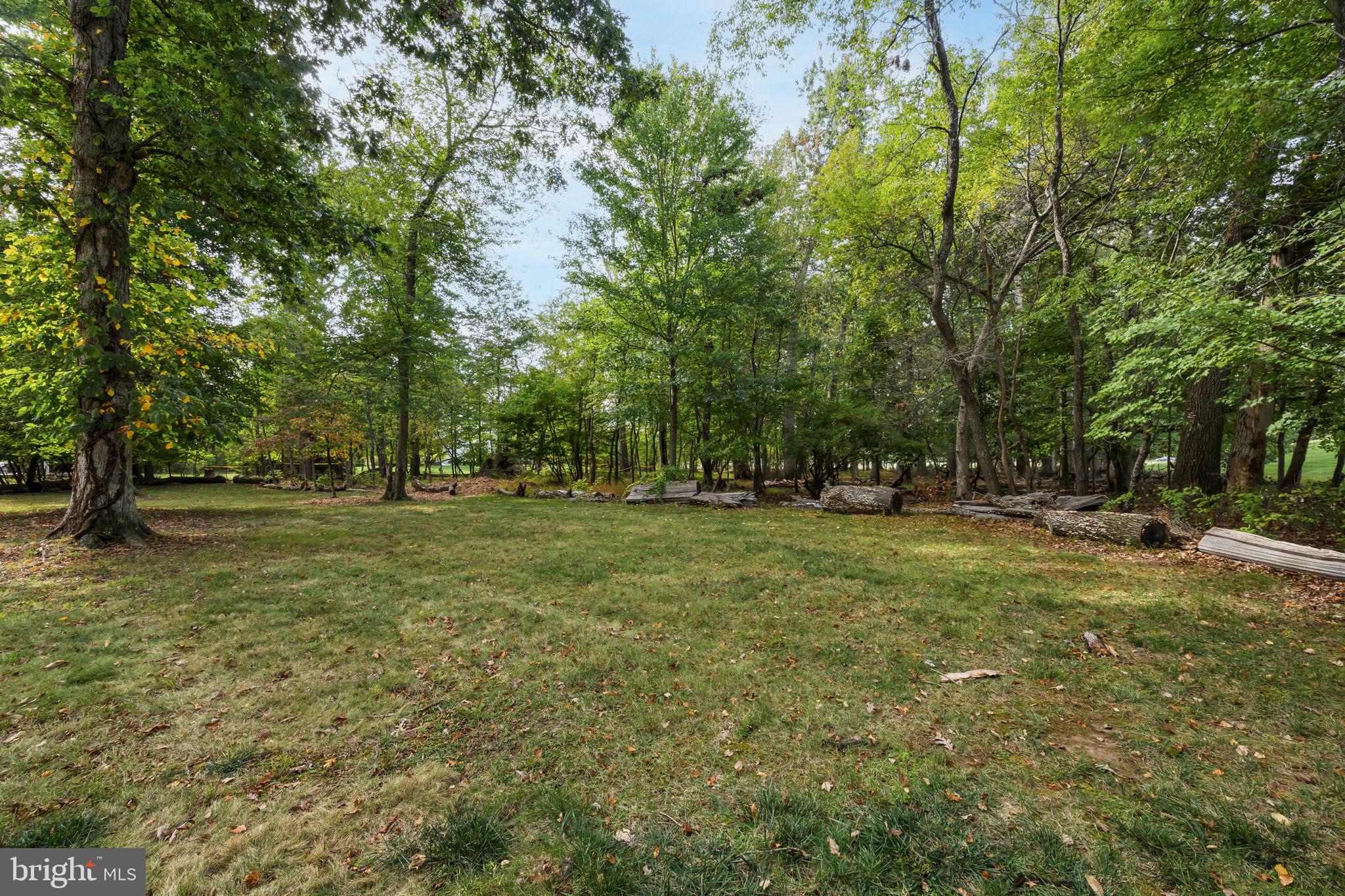 601 Cathcart Road Blue Bell, PA 19422 - Photo 37 of 38 a view of outdoor space with trees all around