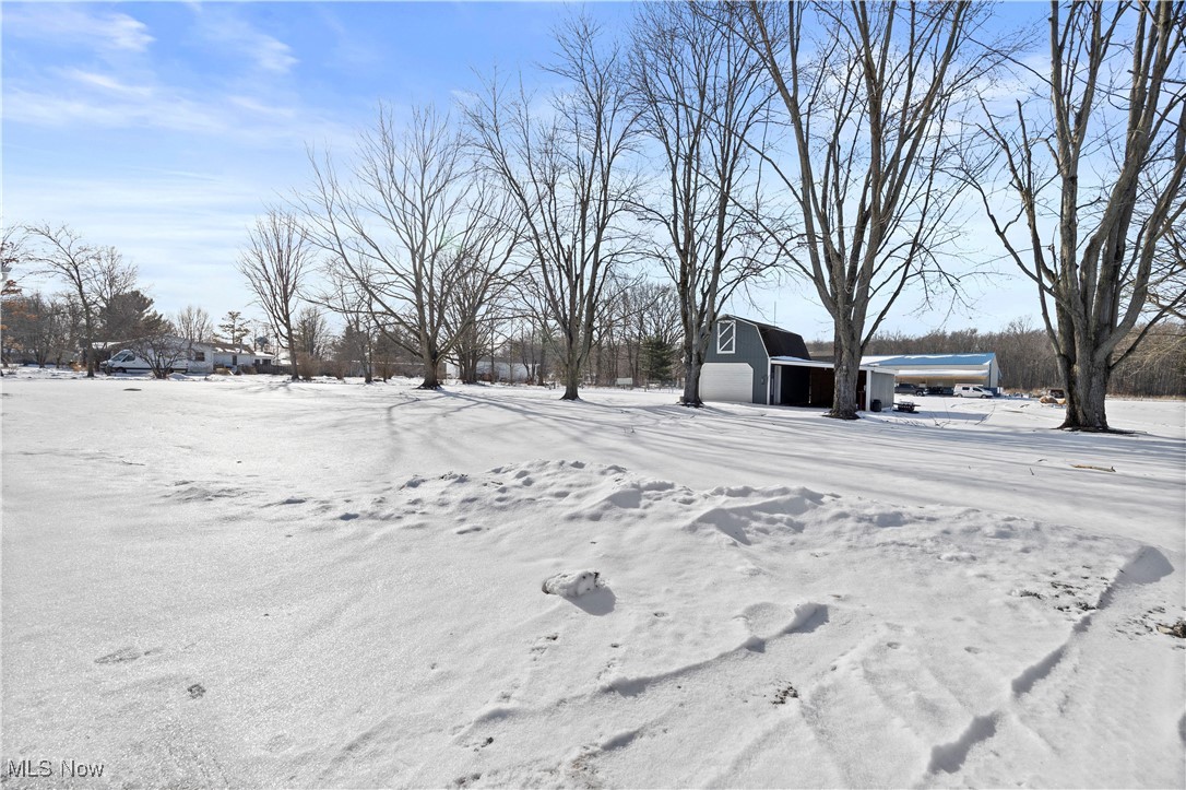 8010 Baumhart Road Amherst, OH 44001 - Photo 35 of 50 Yard area