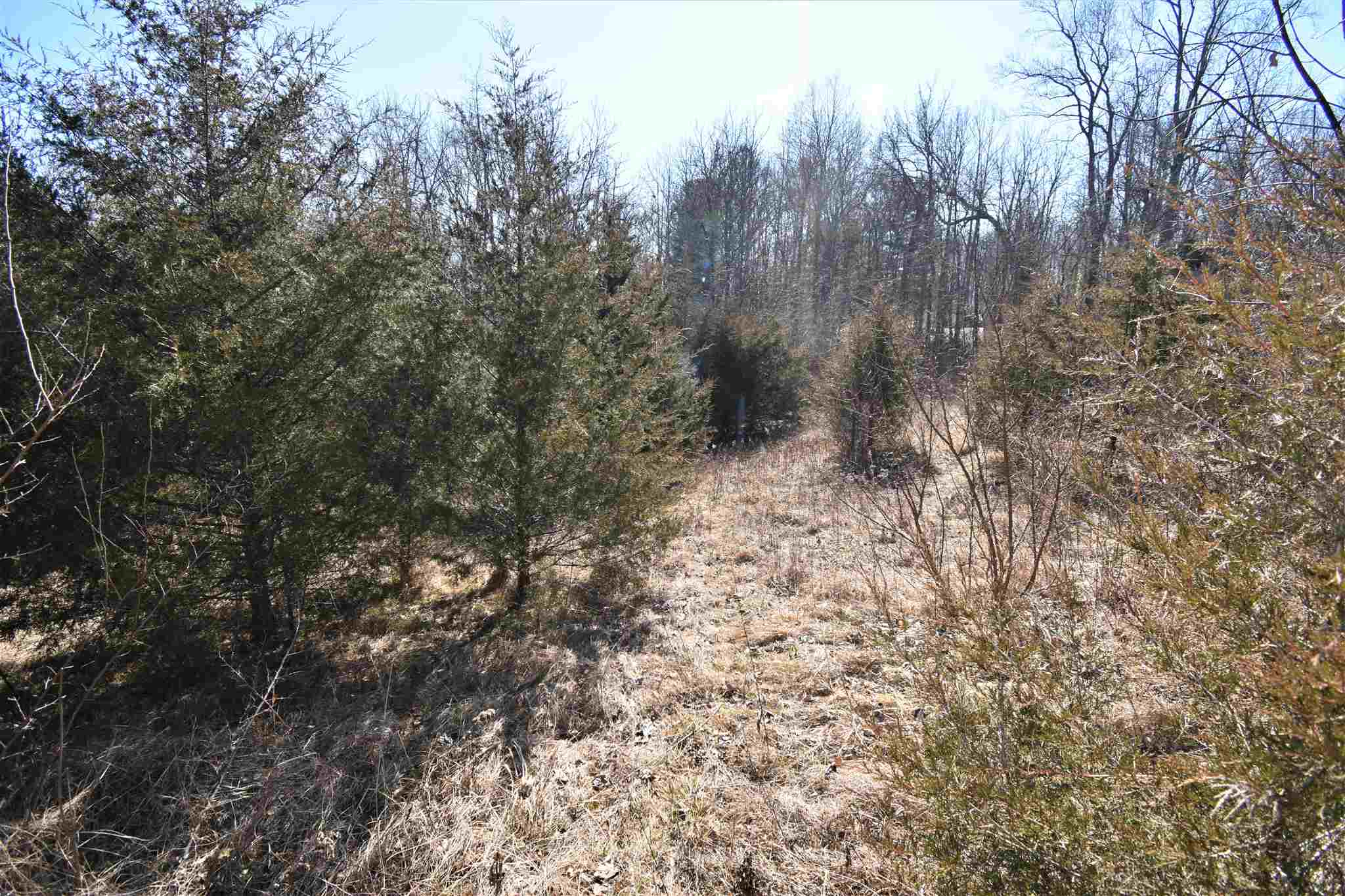 4165 North Hartstrait Road Bloomington, IN 47404 - Photo 5 of 6