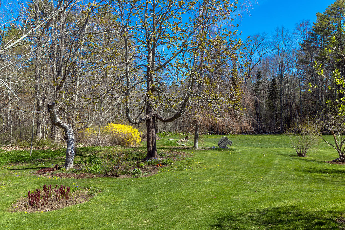 108 Patterson Mill Road Warren, ME 04864 - Photo 58 of 59 IMG_8206